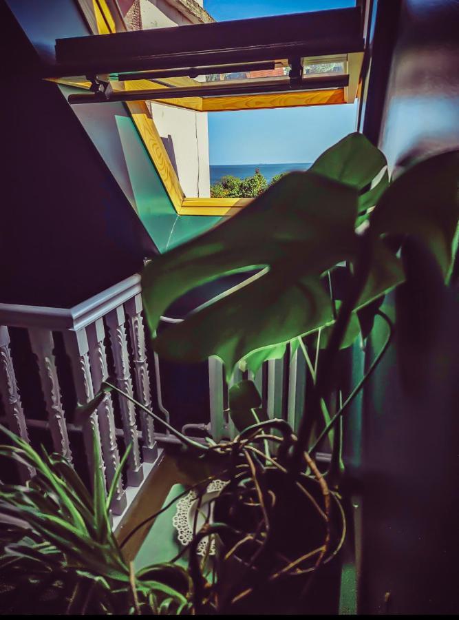 Apartment Roof