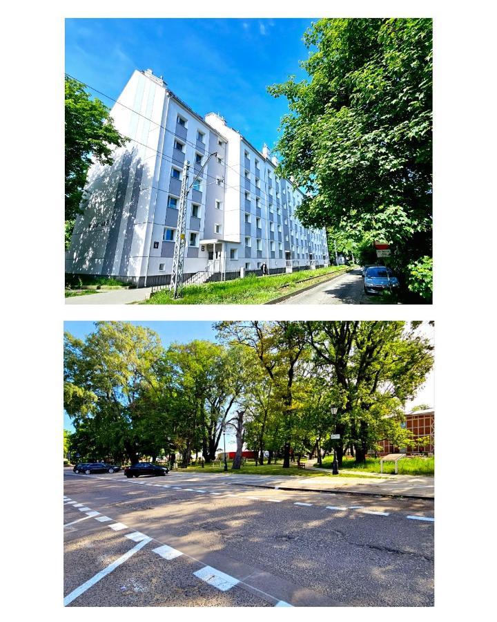Apartment Roof
